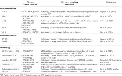 Targeting Autophagy in Thyroid Cancer: EMT, Apoptosis, and Cancer Stem Cells